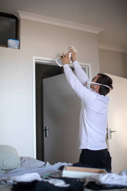 Reliable Franklinton, NC Mold Removal Solutions