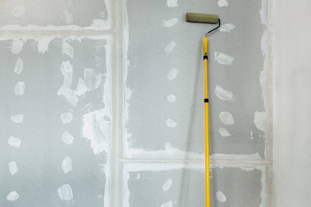 Environmental Consulting for Mold Prevention in Franklinton, NC